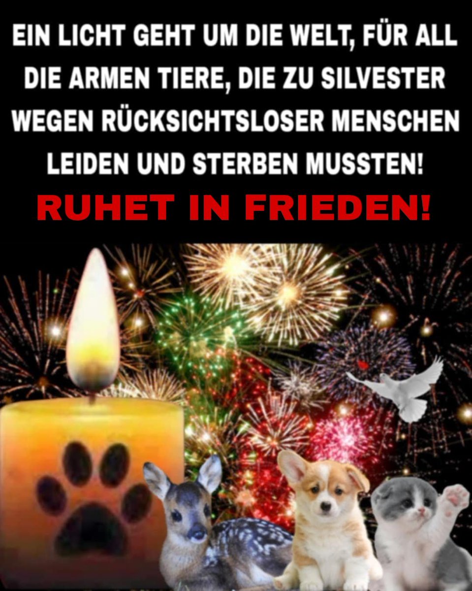 SILVESTER, WAR LEIDER WIEDER EINE HORRORNACHT FÜR TIERE!😪
Unzähligen Tieren hat diese völlig sinnlose Knallerei den blanken Horror beschert, manche irren nach wie vor aufgeschreckt in der Gegend herum, andere konnte nur mehr tot geborgen werden und alles ist verdreckt!
RIP!🕯️
