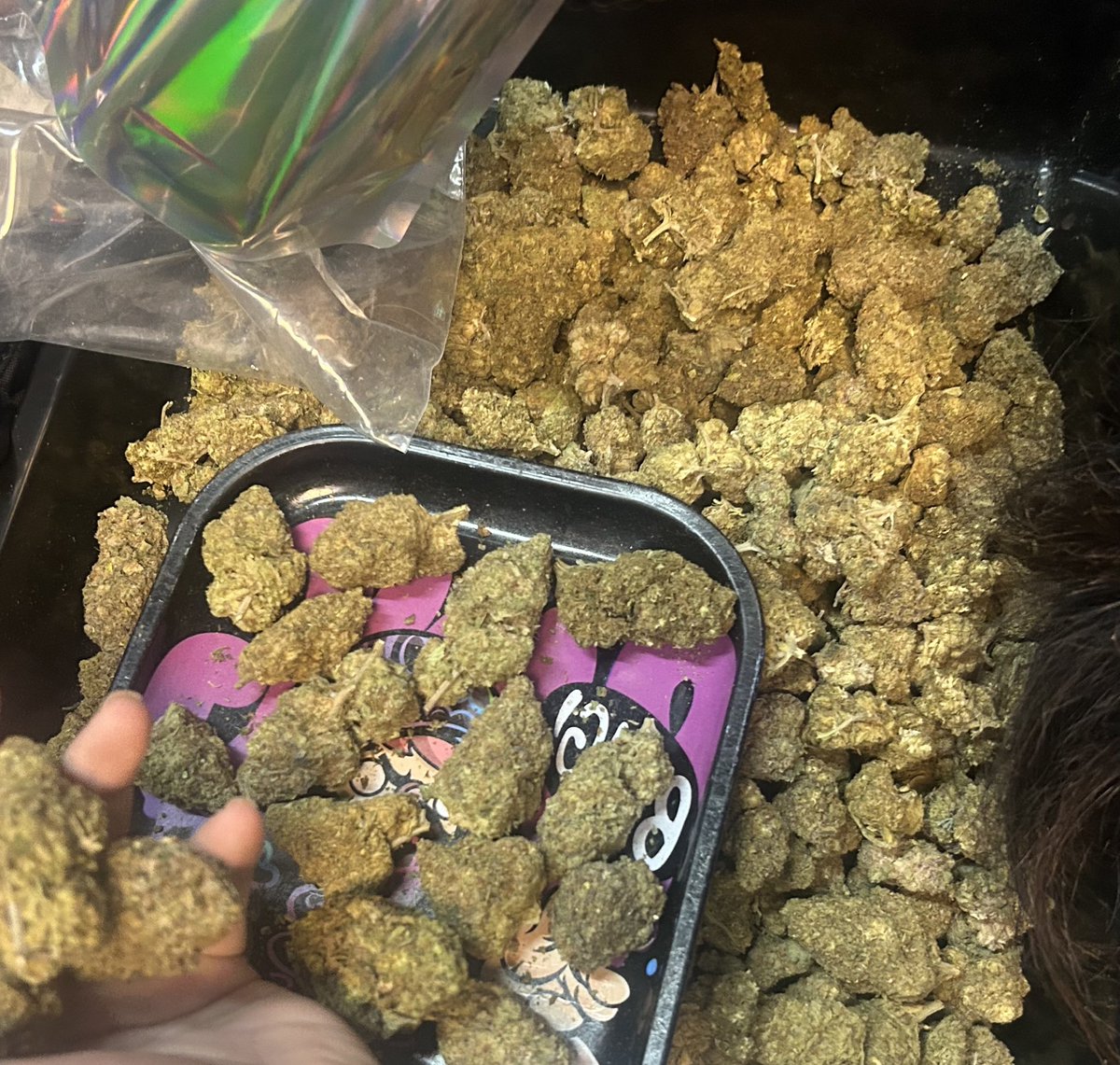 Energyweed2's tweet photo. #マリファナ #大麻 #ganja #marihuwana #weedsmokers #cannabisculture #cannabisstore #marijuana #Hemp #thc #THCA #indica #SATIVA #HYBRID #BONG #SKUNK #Canabidiol #tetrahybrocannabinol #ruderalis #sinesmilla #breeding
#energyweedshop
#กัญชา #กัญชากรุงเทพ https://t.co/PDOgqSG26R