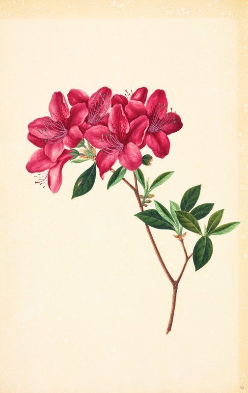 'sadece seven onarmak ister.'