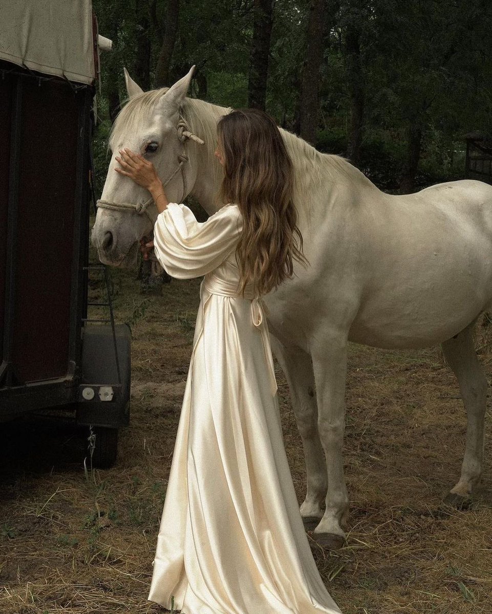 بحر 🌊 (@butterflless) on Twitter photo 