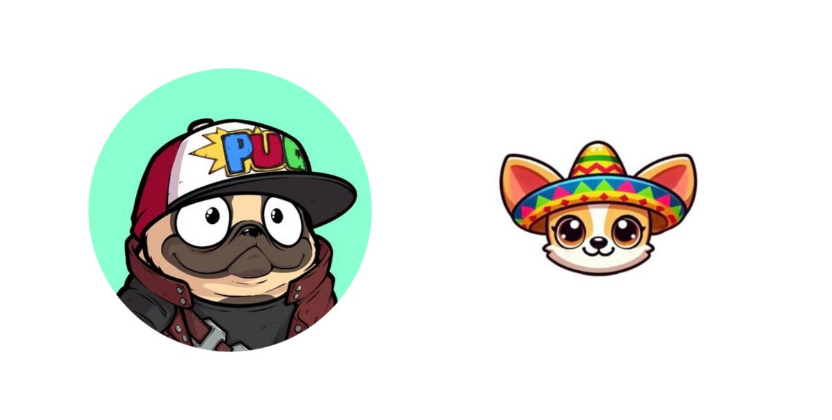 Ox_Gabbyy's tweet photo. I'm thrilled to announce that I've been appointed as the new Ambassador of @panchito_coin
I'm looking forward to sharing the joy and delight of #Pinchito with the world.
Stay tuned for updates, behind-the-scenes peeks, and all things #Pinchito https://t.co/0OIrErws0J