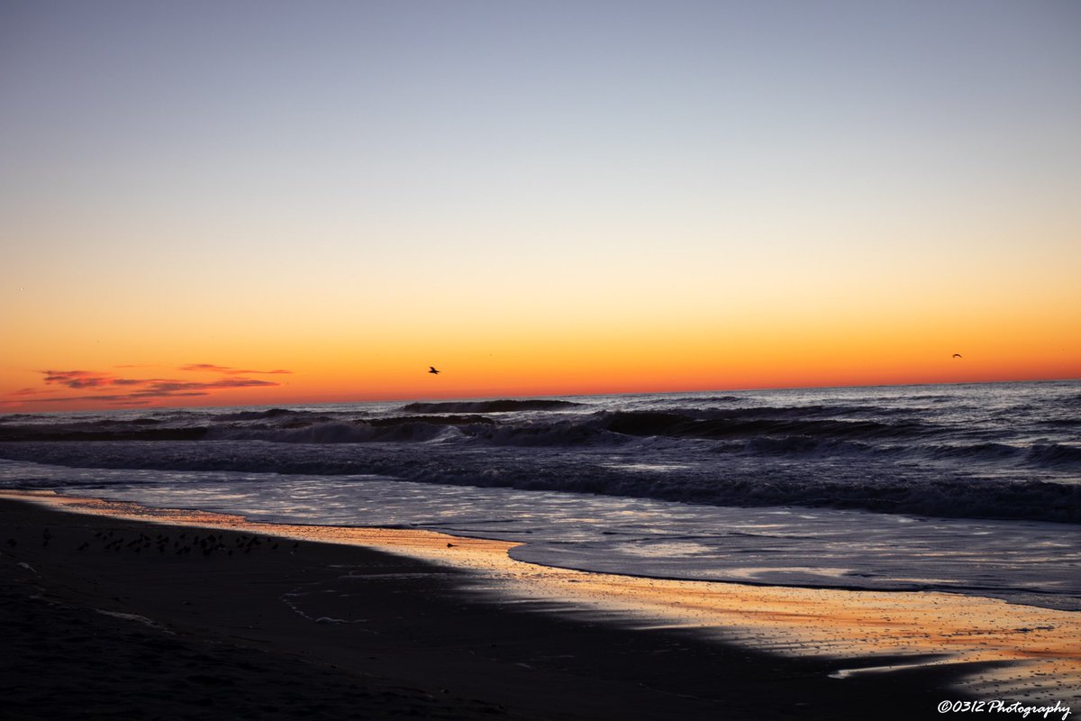 0312_Photography tweet media