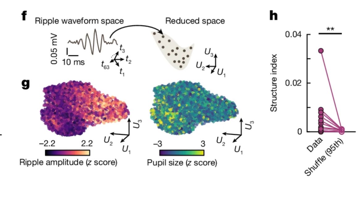 LMPrida's tweet image. Enhorabuena chicos! Feliz año!! Great and inspiring work!! It gives food for thought! Cool to see our #StructureIndex metrics and topological analysis of ripples in action 👇🏼