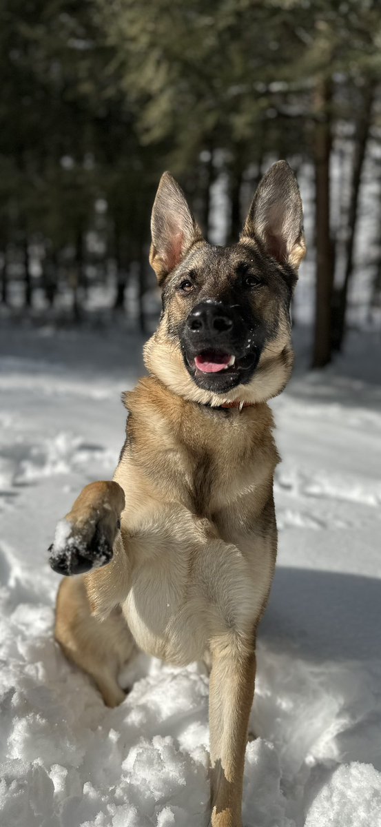 joseph_tonnies's tweet image. #BestAtHomeContest