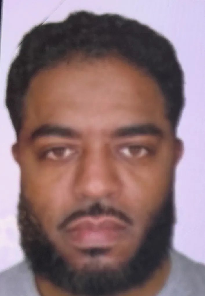 Insider Paper tweet media