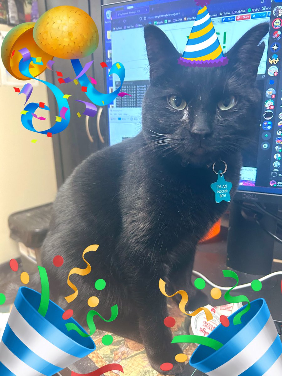 Bbella and MOLLY Burd! 🇵🇸 tweet media