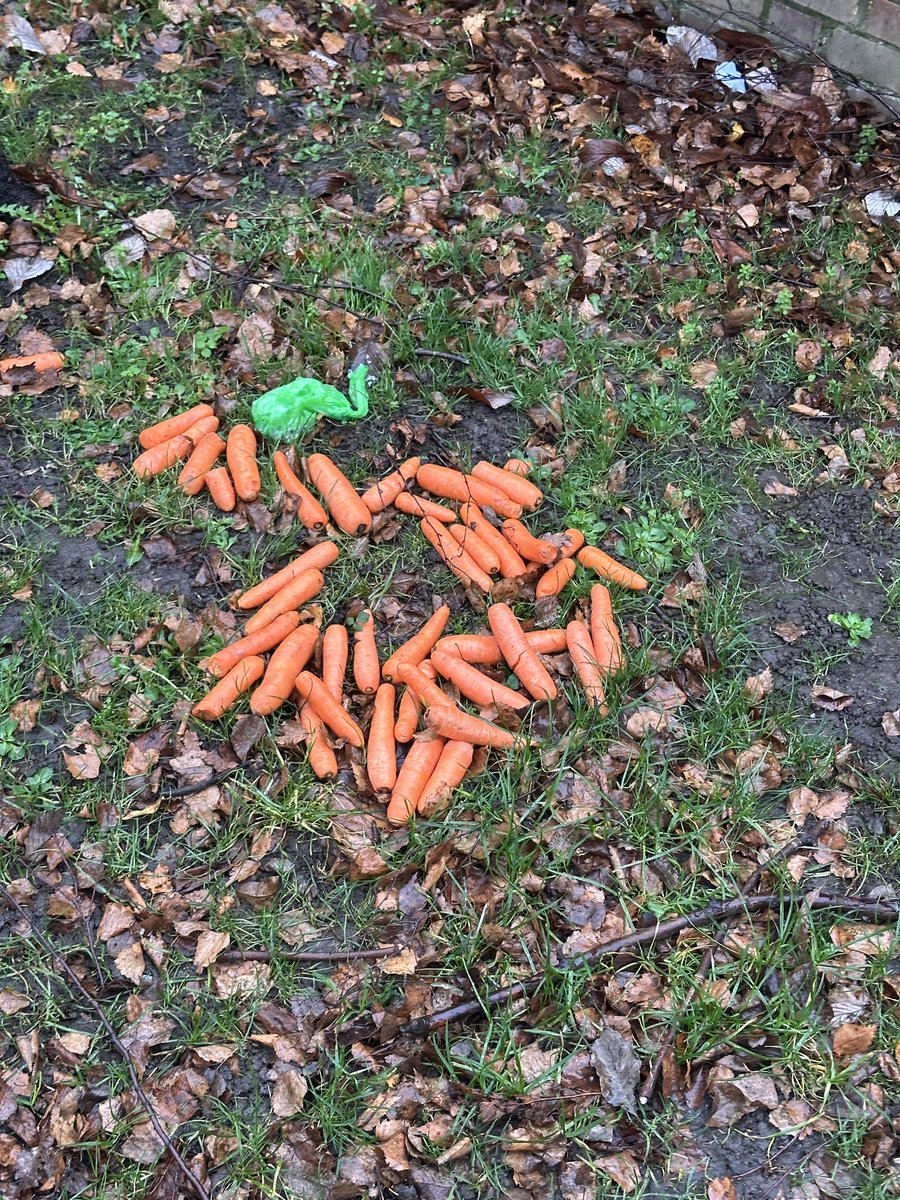 Dan Mersh tweet media