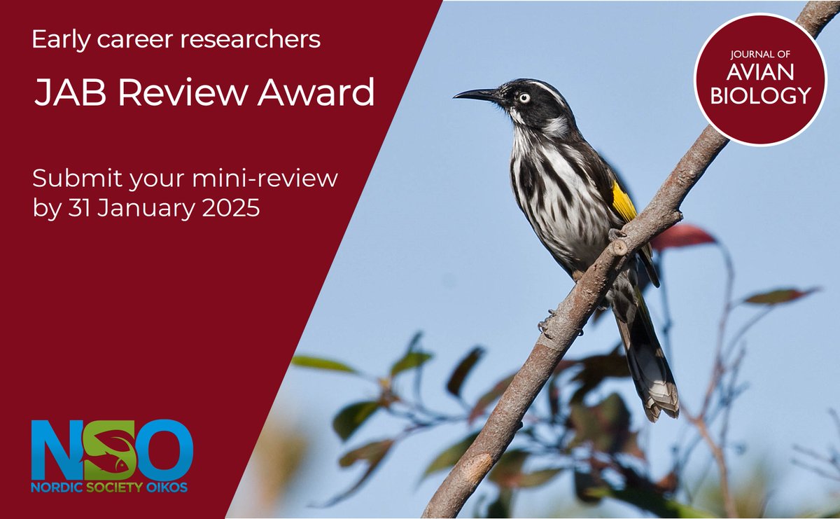 📣 ONE MONTH UNTIL SUBMISSION DEADLINE 📣

JAB Review Award competition

Deadline: 31 Jan 2025

Who: ECRs up to 8 yrs after completition of doctorate

Award prize: 1000€ (winner), 500€(runner-up)

More info: vist.ly/3mrd3u5 

<a href="/NordicOikos/">Nordic Society Oikos</a> #ornithology #award #birds