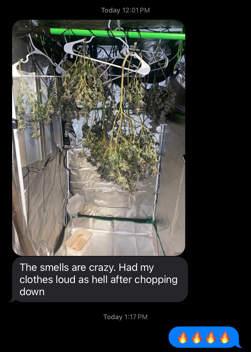 The Prince of DC tweet media