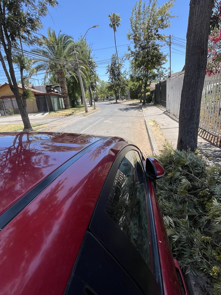 Monikespina's tweet photo. @MuniLaFlorida nuevamente una rama del árbol de la calle cayó.. pero está vez sobre un auto y le abolló el techo. Hace unas semanas vivieron y solo se llevaron las ramas caídas. ¿Cuando vendrán a podar en árbol? ¿Cuando caiga sobre una persona? 
¿Quien se hace cargo? https://t.co/A3pNi3r3KT