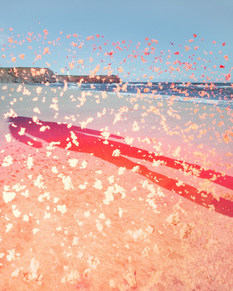 Benoit Paillé tweet media