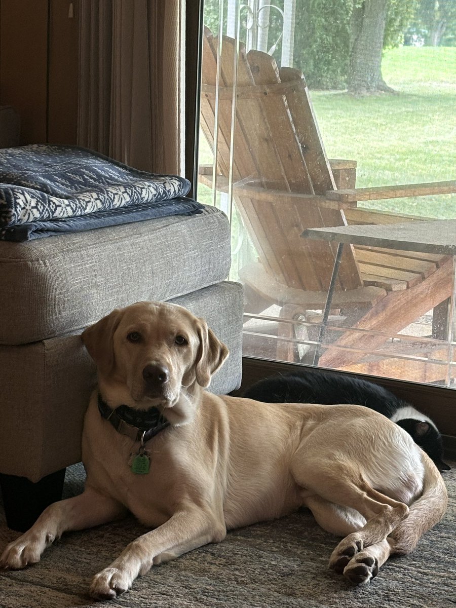 AaronCrewnut40's tweet image. Tucker #bestathomecontest #AKC