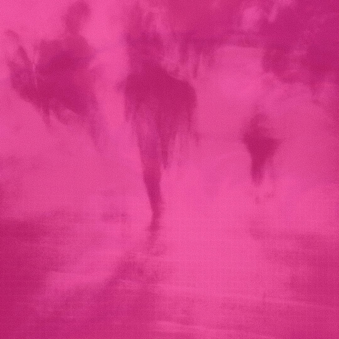nosdothemost's tweet photo. 'FUSCIA' EP jan. 8!!! https://t.co/Tu9WREujCq