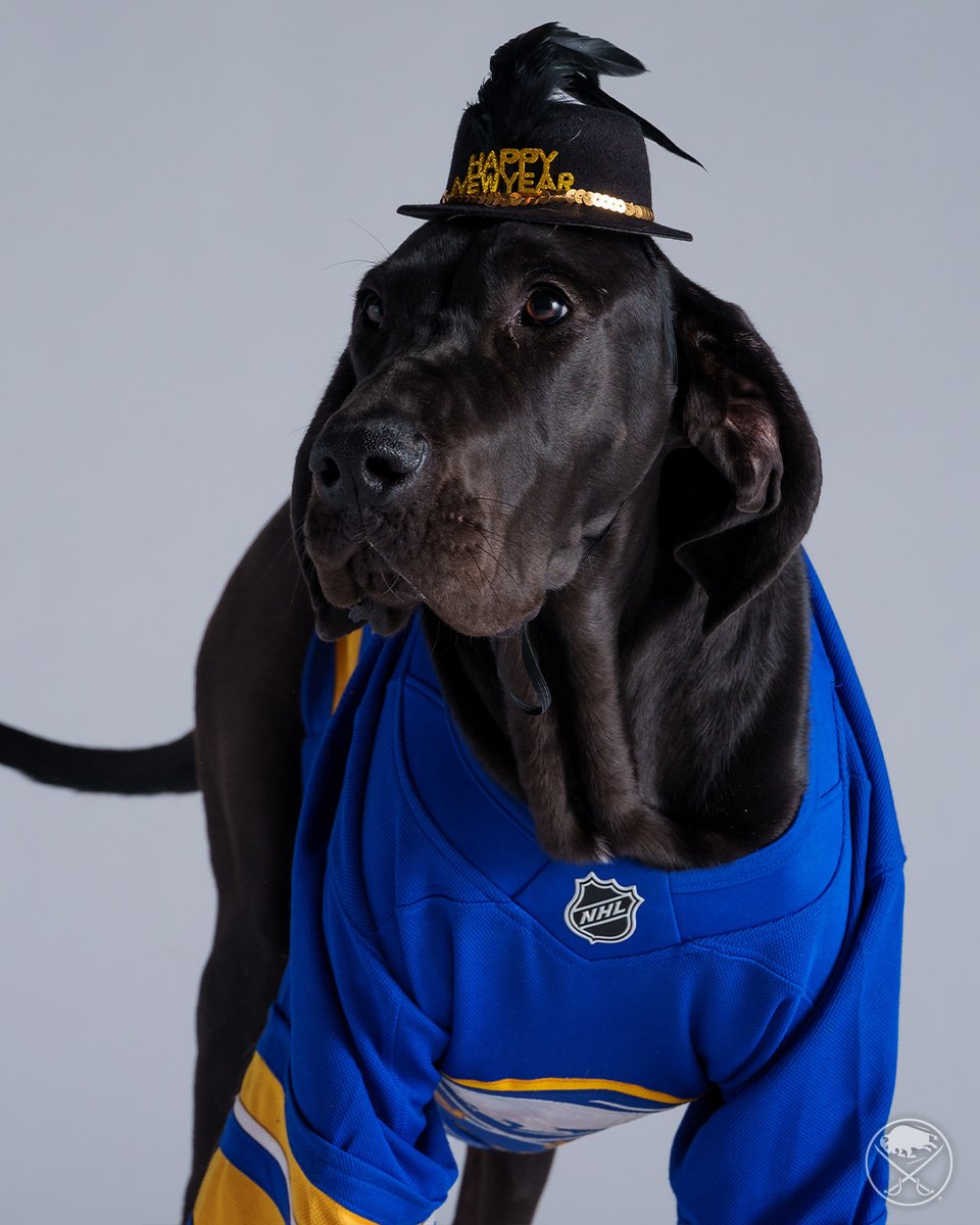 SabresPup's tweet image. Happy New Year! 🎉

My New Year’s resolution? To be the goodest pup all year long!