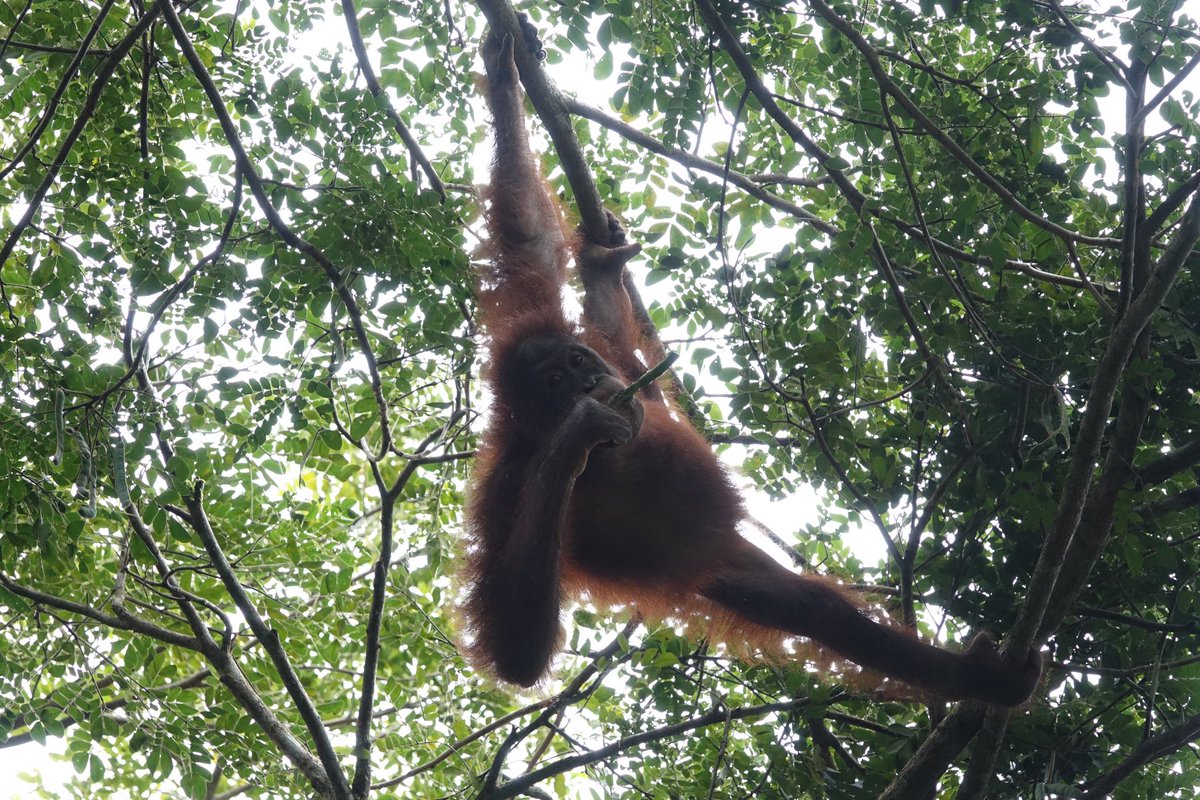 Emily Richens tweet media