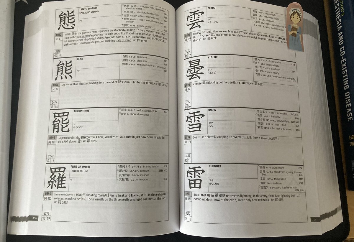 By the start of 2025 I've learned 900 kanji characters 🎆🎉