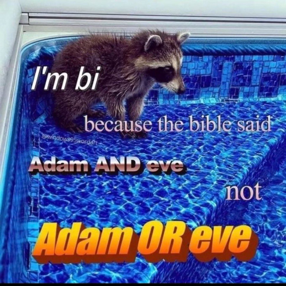 raccoon aesthetic. (@raccoonesthetic) on Twitter photo 