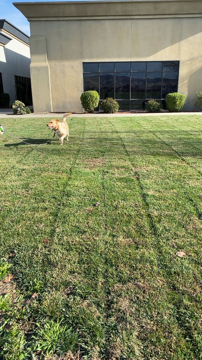 ethelind77's tweet photo. 22cc found #cubiecoin in a Yellow vault at this location! Join me playing #cubieverse, It's awesome!   #17428885 https://t.co/HtMVcglRxC