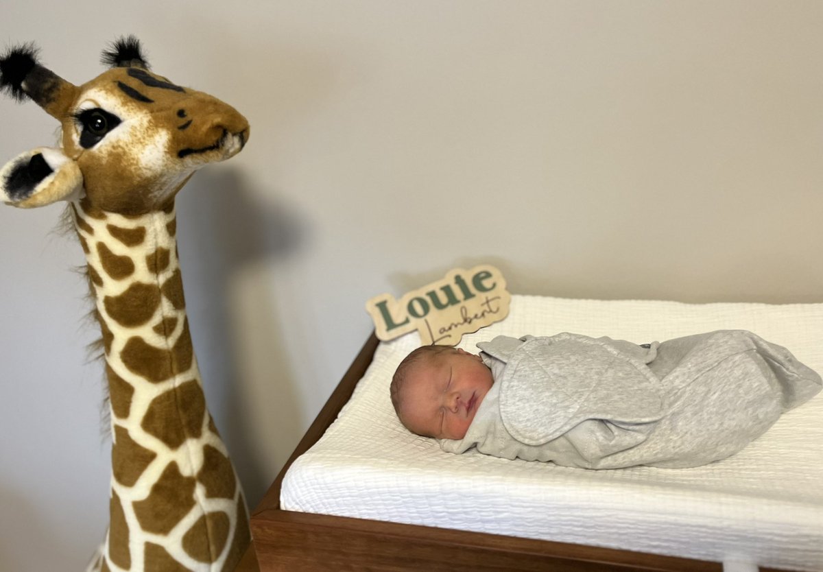 Paul Lambert tweet media