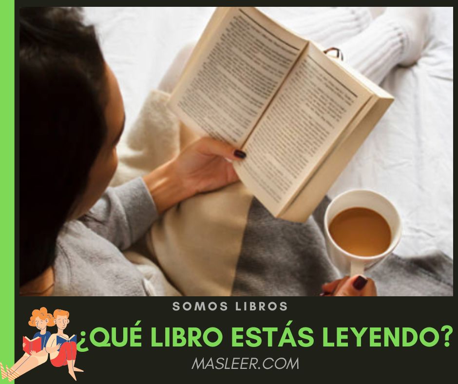 Más Leer tweet media