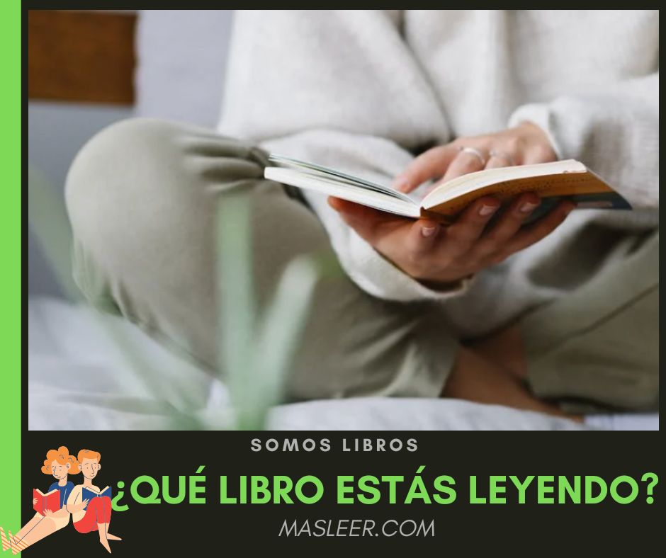 Más Leer tweet media