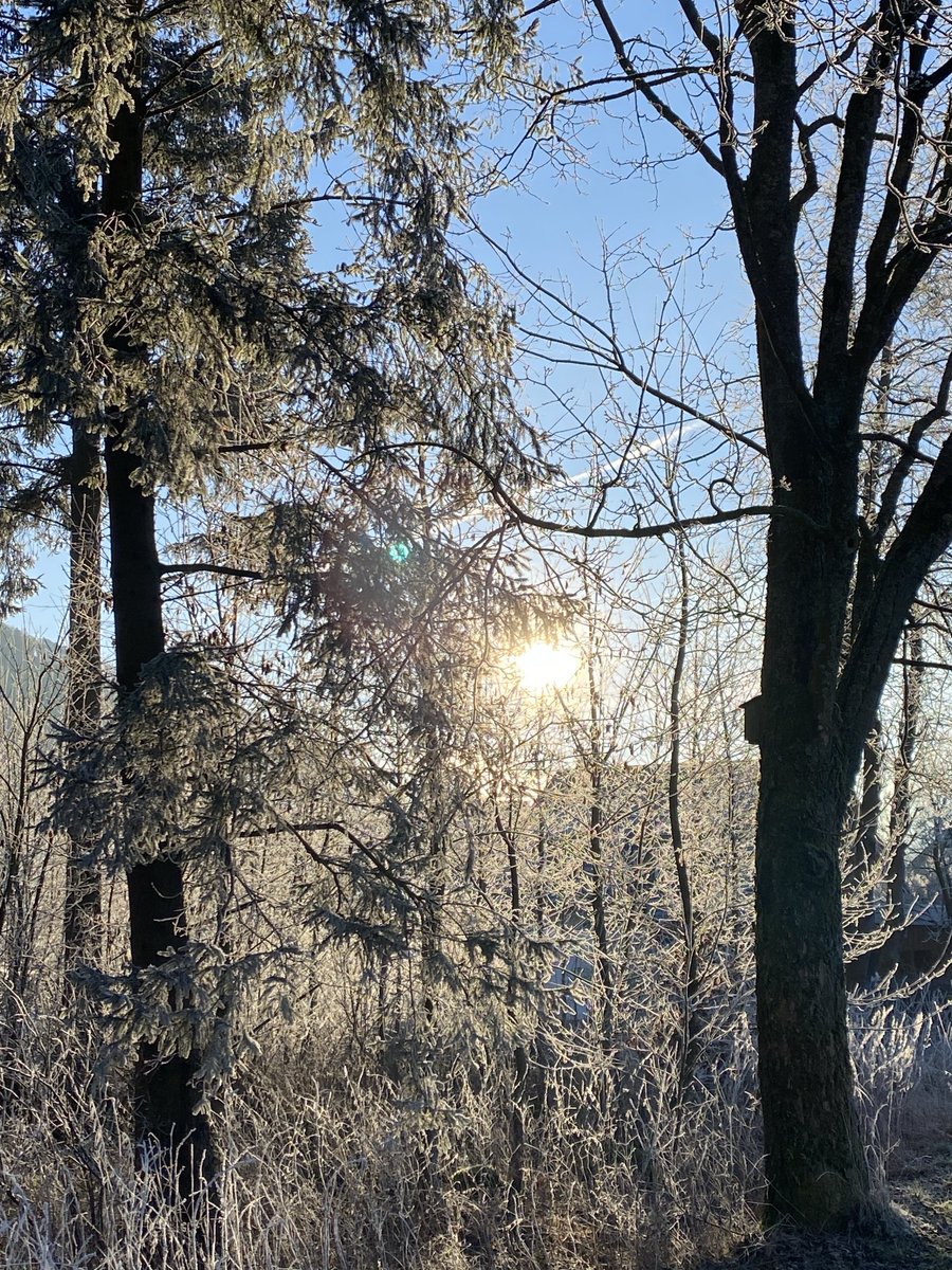 Wir wünschen euch allen ein gutes und gesegnetes neues Jahr. Mit guten Wünschen und Visionen, gepaart mit Zuversicht und Tatkraft können wir das Jahr gestalten und hoffentlich auch genießen.