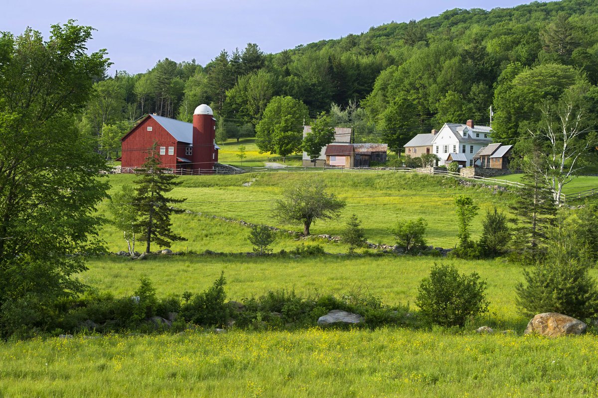 ThinkVermont tweet media