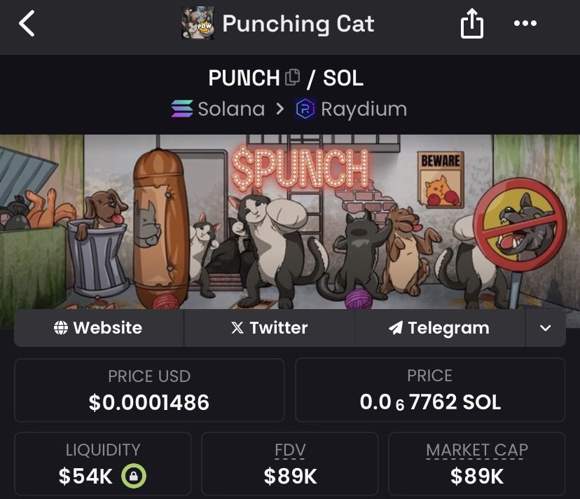 lord_vec's tweet photo. Day 86: $PUNCH doc till $100m MC
2025 is here, and $PUNCH is still swinging!
While others tap out, we’re gearing up for the fight of the year. Here's to stronger hands, bigger plays, and a relentless community.
Let’s make this year unforgettable, Punchers! 🚀🐾 #PunchingCat https://t.co/7SFbVZ3BSf