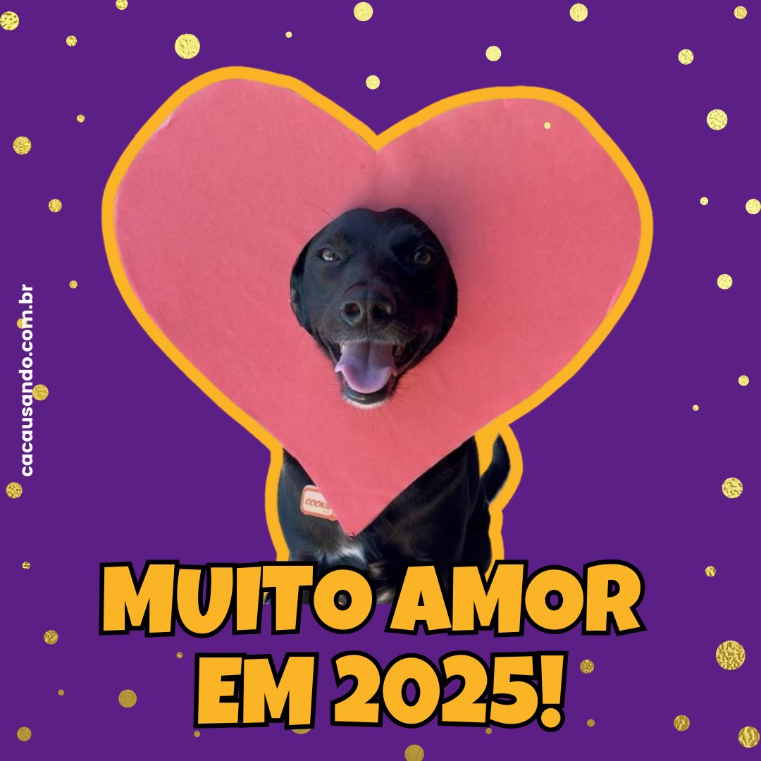 cacauecookie's tweet photo. Feliz ano novo 🥳 https://t.co/601wqjYJM2