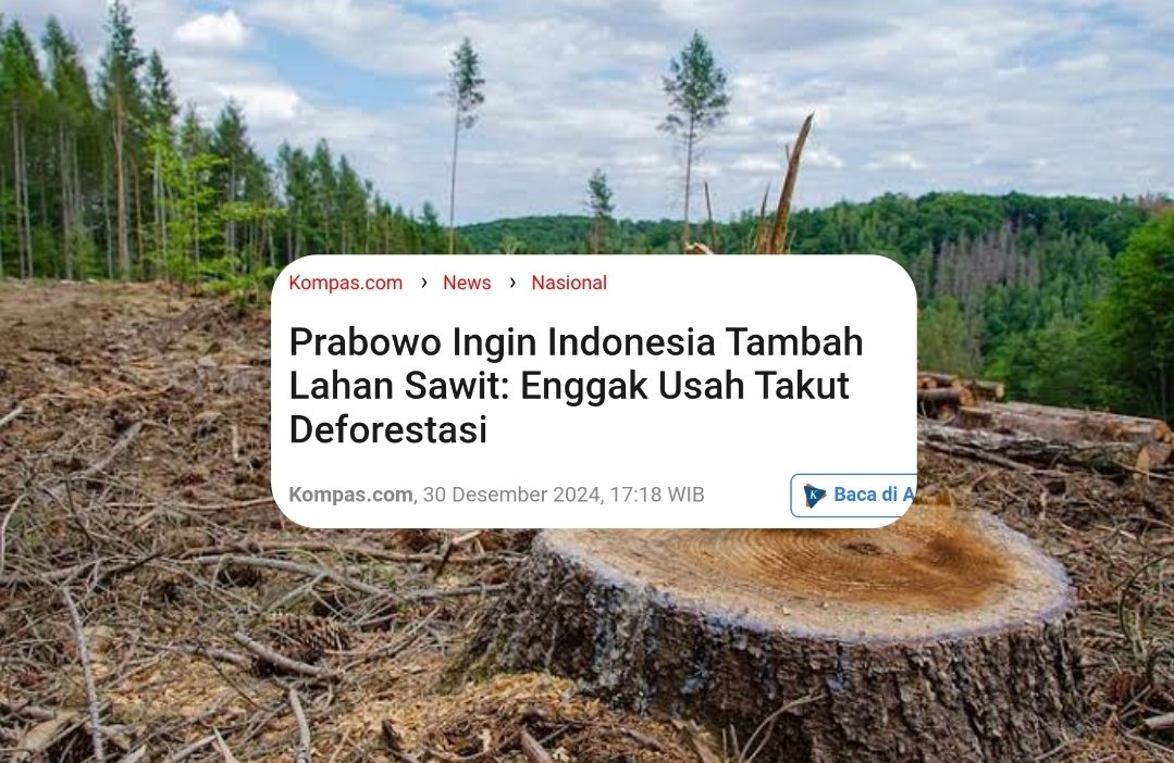 Starting 2025 dengan jatah preman PPN 12% yang tbtb muncul buat deforestasi dan nambah lahan sawit.