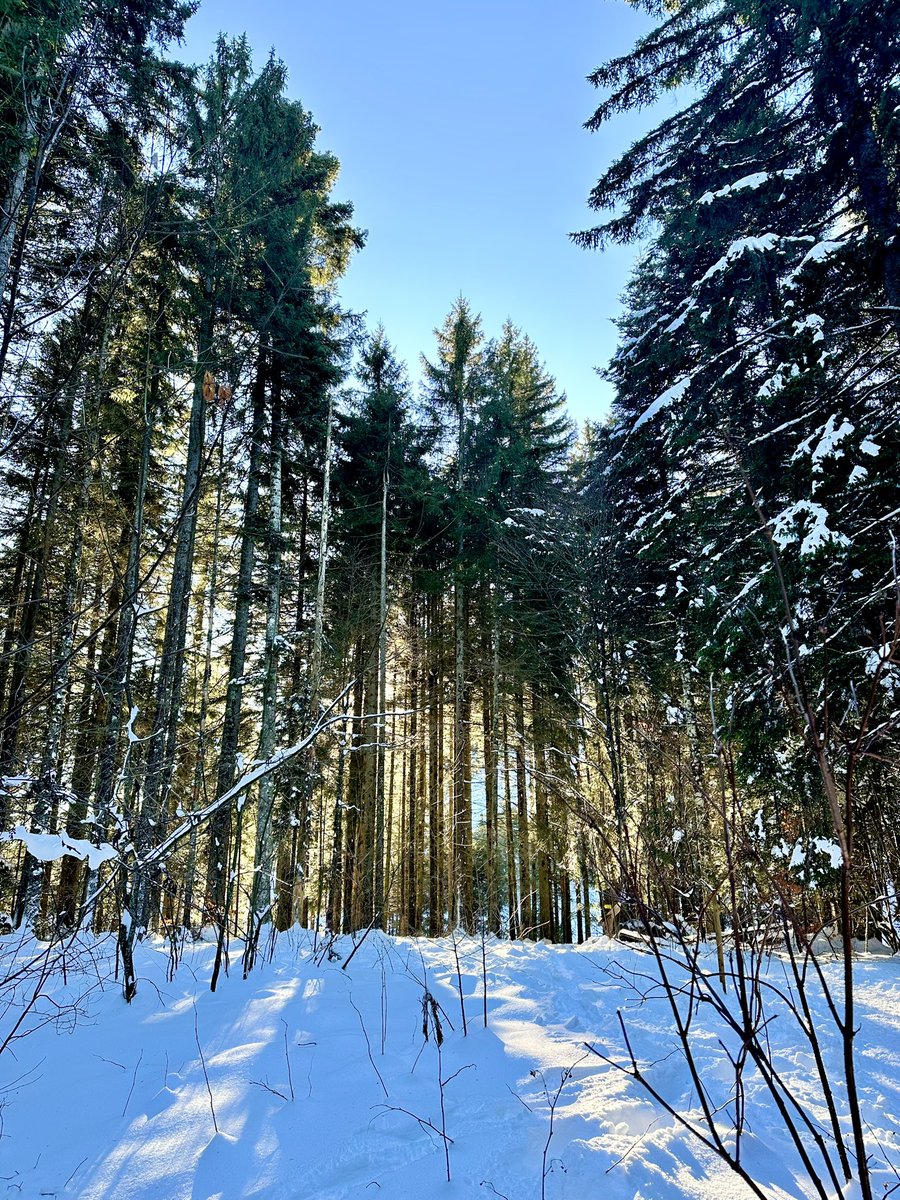 Joe el Khoury, MD, MPH tweet media