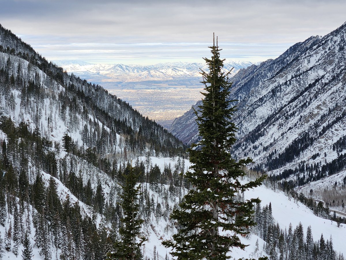 Mapsynergy tweet media