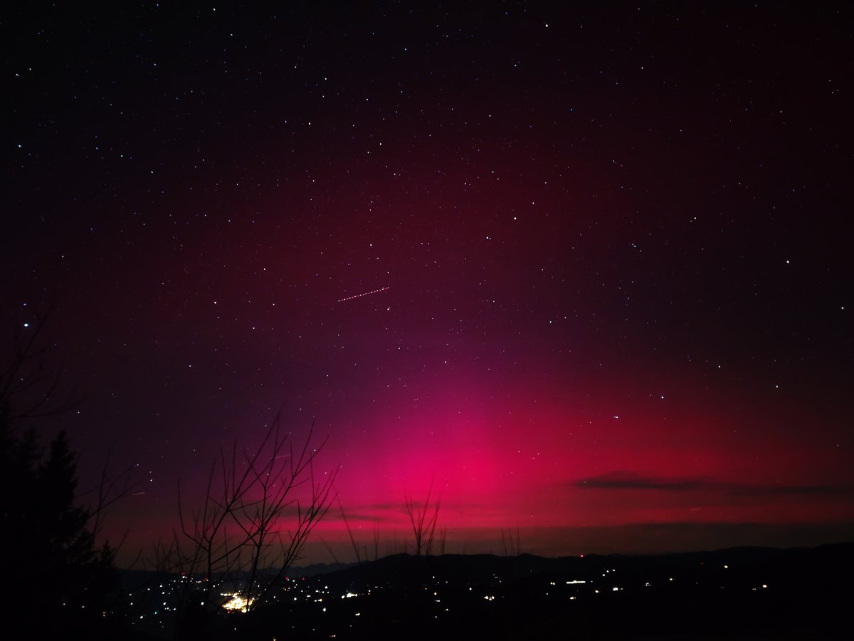 Robert Raindl tweet media