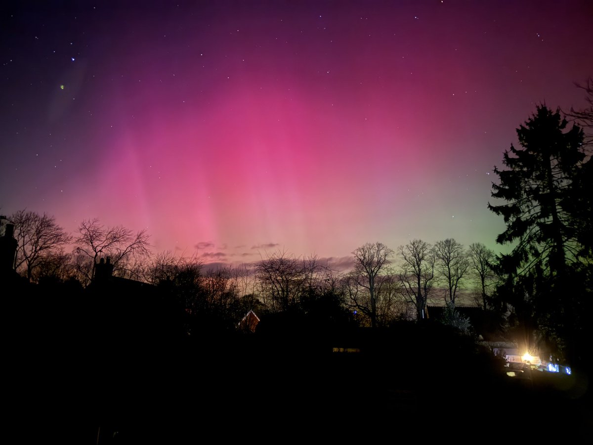 Mike Shaw tweet media