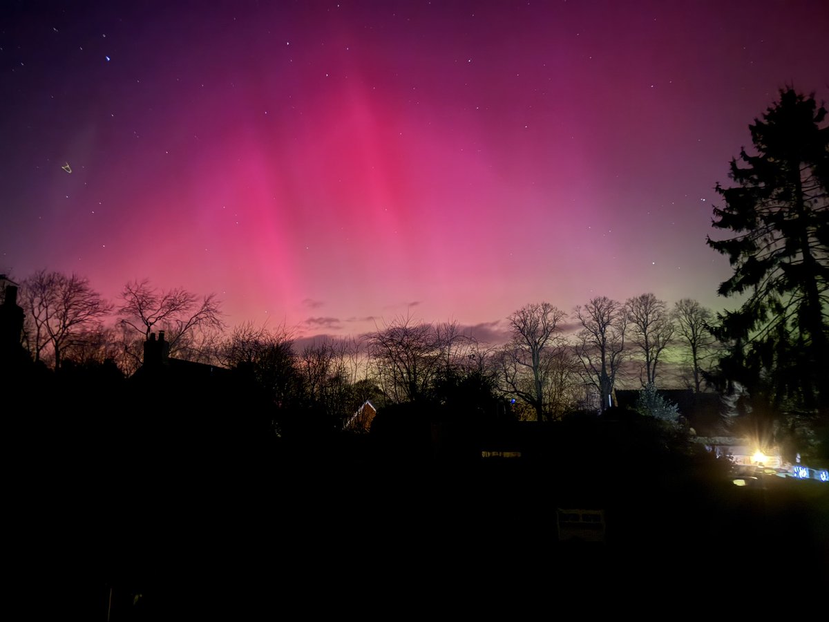 Mike Shaw tweet media