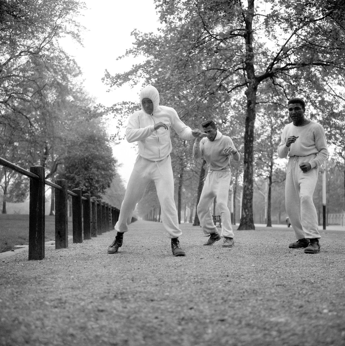 thejpgvibe's tweet photo. muhammad ali. 1963.
training in london ahead of his fight. https://t.co/lEoA1azMbY