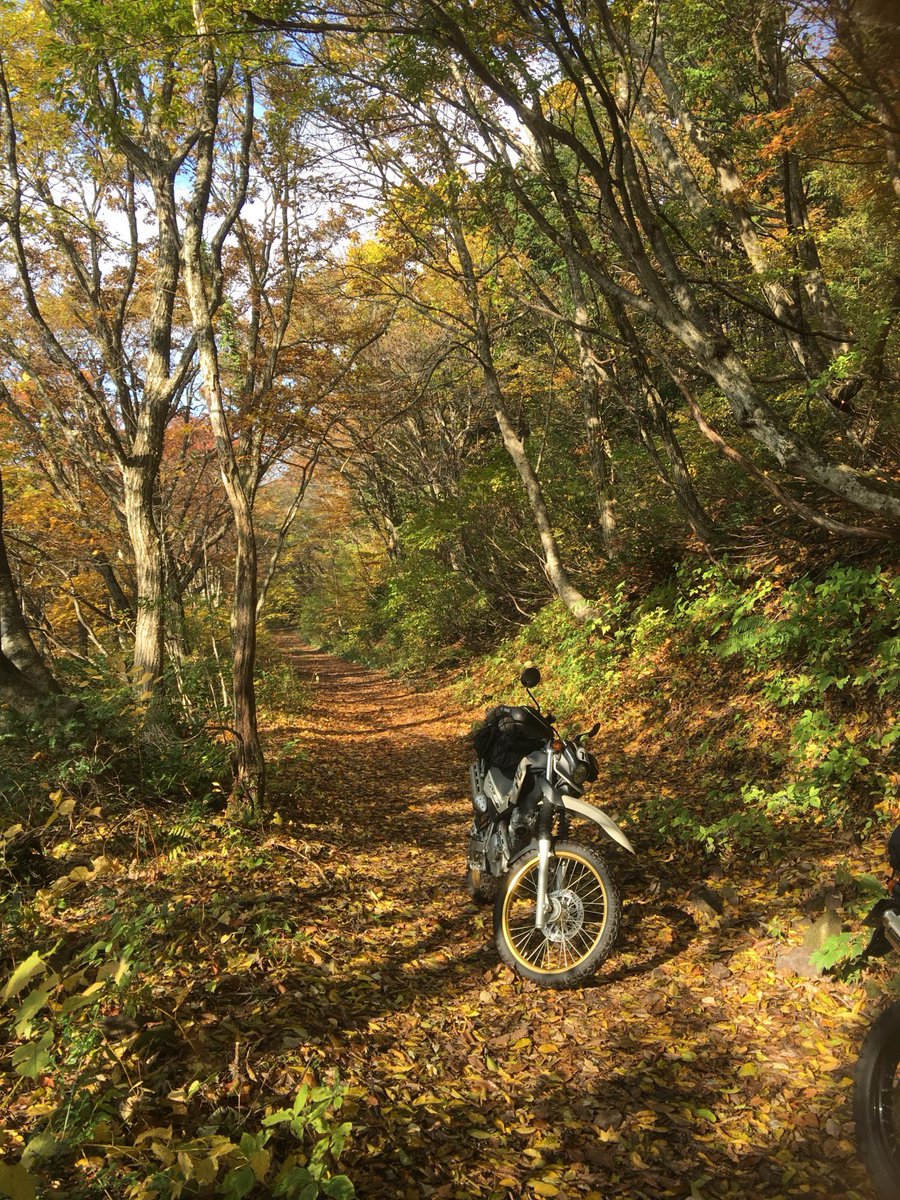 🤔⁇
新年
明けましておめでとう
御座います

昨年1月9日より
連休で九州•本州•北海道
一周•キャンにカーキャン•バイツーと遊びまくりましたが🤭
9日より仕事復帰します
2月末よりクランクアップと又　忙しい日々になりそうです😓

皆様方も良い年であります様に‥‥
今年も宜しくお願い致します🙇