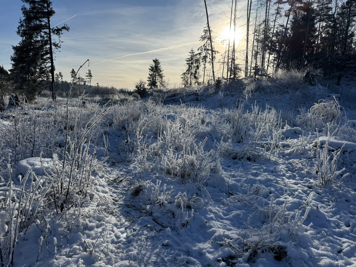 tony_ver2's tweet photo. Výlet na Veselý kopec 31.12.2024
#turistika #CzechRepublic #vylety #czechia #les #forest #Winter #wintervibes #hikingadventures #vesely #kopec #skanzen #pardubicky #kraj 1/3 https://t.co/fpDpXCjEjv