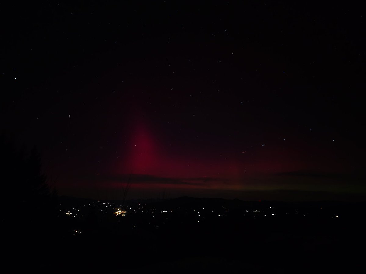 Robert Raindl tweet media