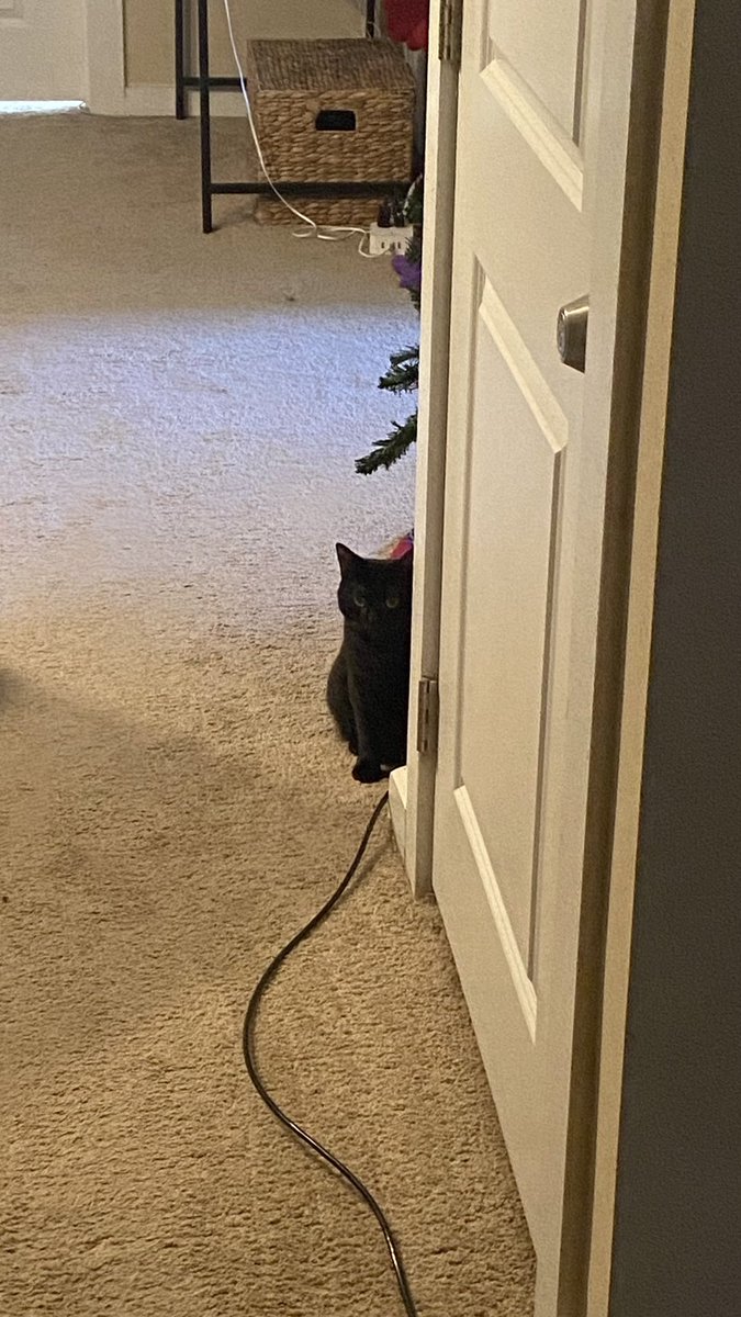 This is why it’s so hard to leave the apartment 😭