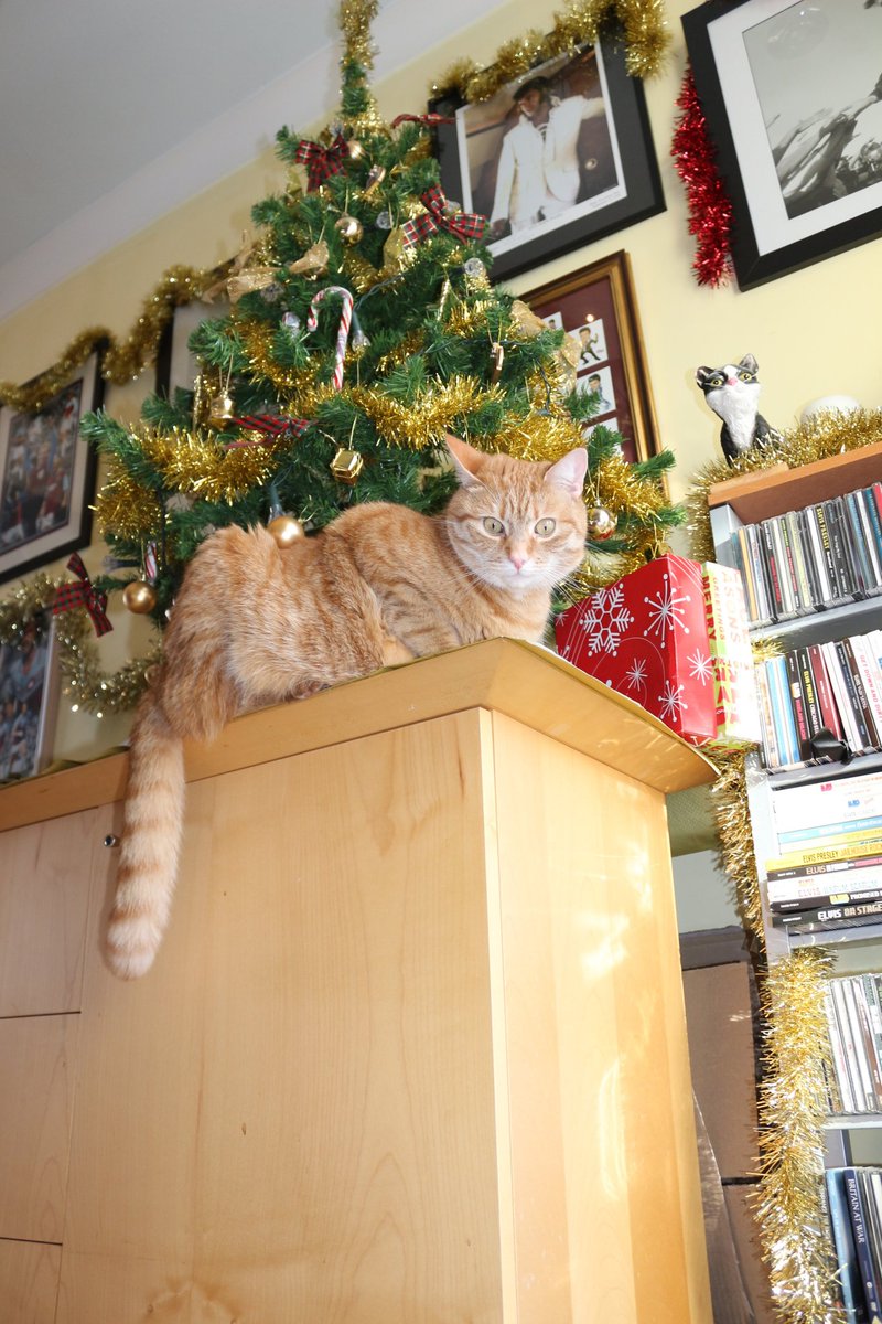 Any more presents down there?