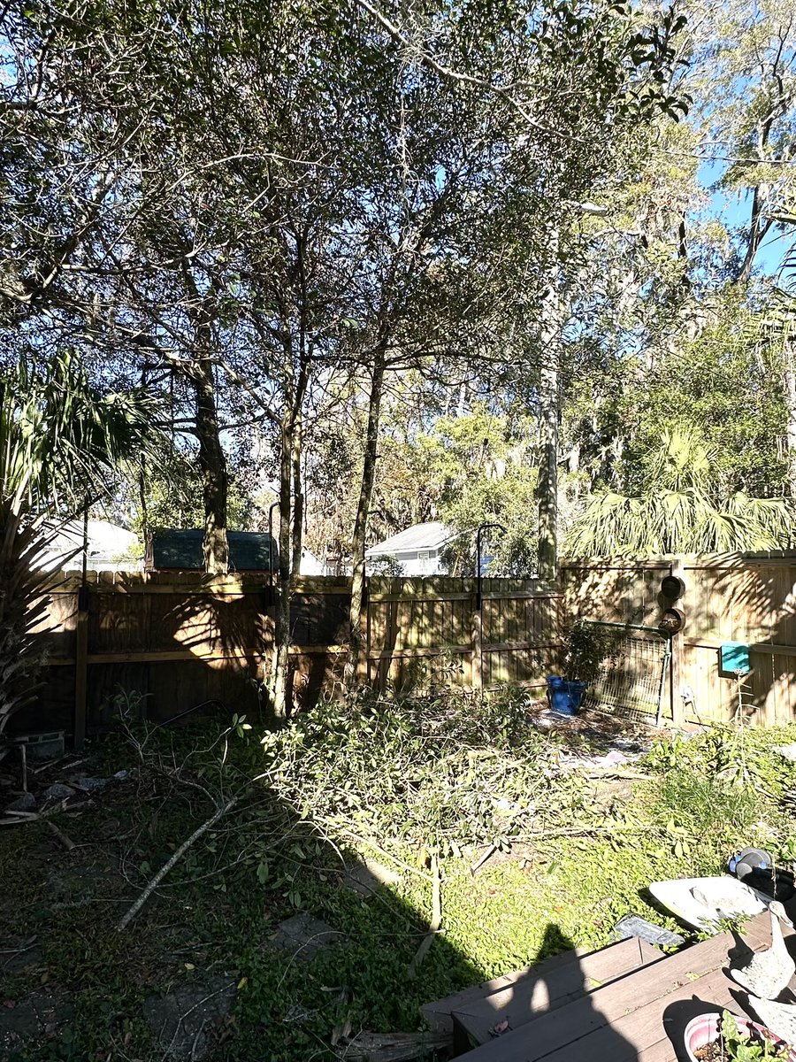 Patrick Skinner tweet media