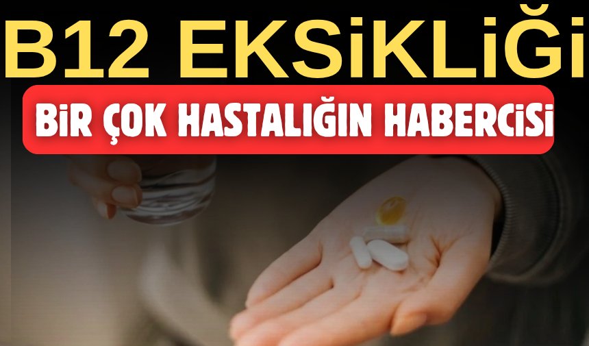 yldrminegol's tweet image. B12 Eksikliği hangi hastalıklara yol açıyor 
Haberi oku →yildirimgazetesi.com/b12-eksikligi-…

#sağlık #hastalık #vücut #B12