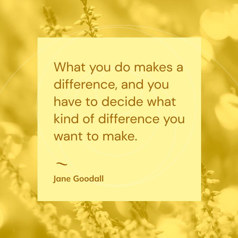 trustinginnow's tweet photo. What you do makes a difference! In honor the new year, I will #retweet anyone who posts an opinion on below with a #link or #book 💛 #writerslift #amwriting #difference #NewYear2025 https://t.co/EVSpFVg0Fn