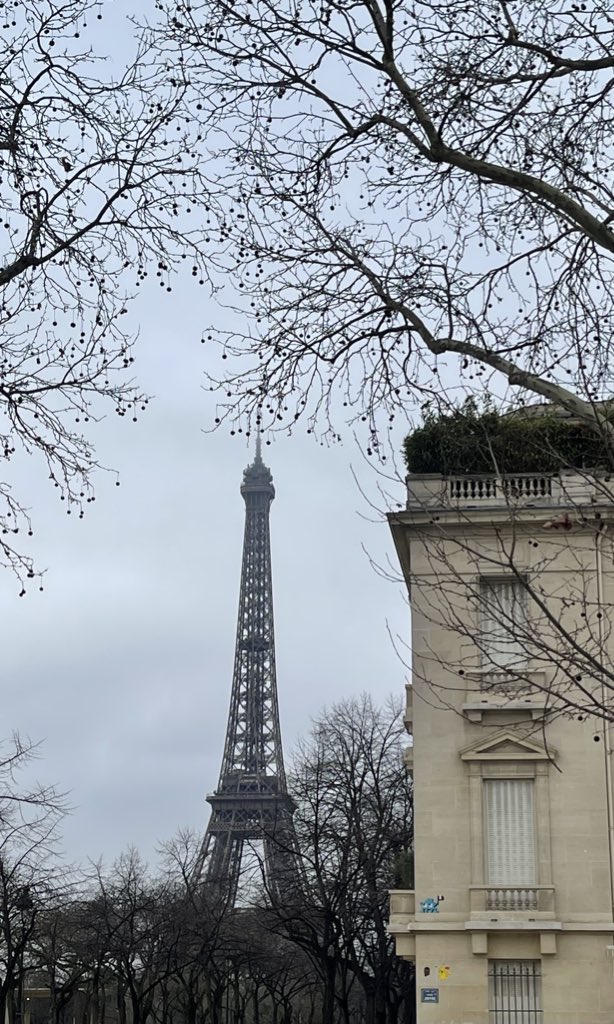 chopin197's tweet photo. Happy new year from Paris 🇫🇷🍂..
New journey , new me .
01/01/2025❤️. https://t.co/dQrtHBCd2g