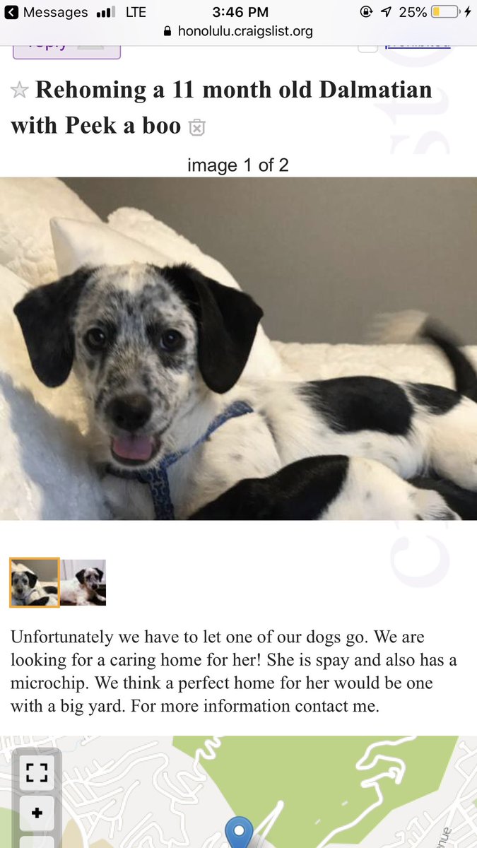 usps_doge's tweet photo. adopte ,   donot shopte https://t.co/tEm9wtu3yo