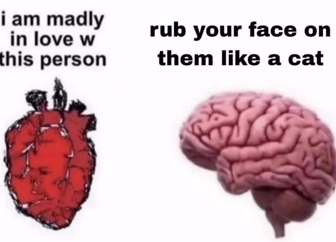 whotfisjovana's tweet image. ︎ ︎ ︎ ︎ ︎ ︎ ︎ ︎ ︎ ︎ ︎ ︎ ︎ ︎ ︎ ︎ ︎ ︎ ︎ ︎ ︎ ︎ ︎ ︎ ︎ ︎ ︎ ︎ ︎ ︎ ︎ ︎ ︎ ︎ ︎ ︎ ︎