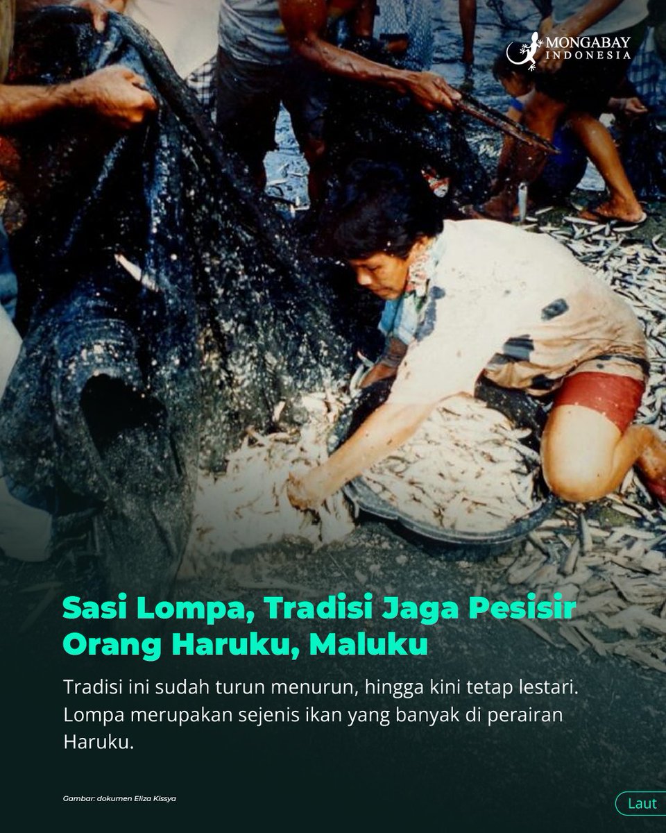 Mongabay Indonesia tweet media