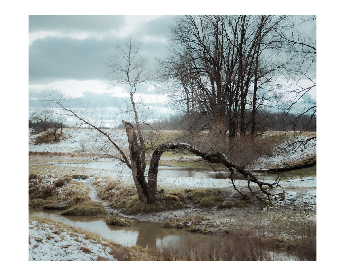 nowhereont's tweet image. Hi, I’m Mike. I capture the beauty of rural small towns and nature in Ontario’s heartland. Follow for timeless, colorful visuals. #Photography #FujiX100V #fujifilm_xseries