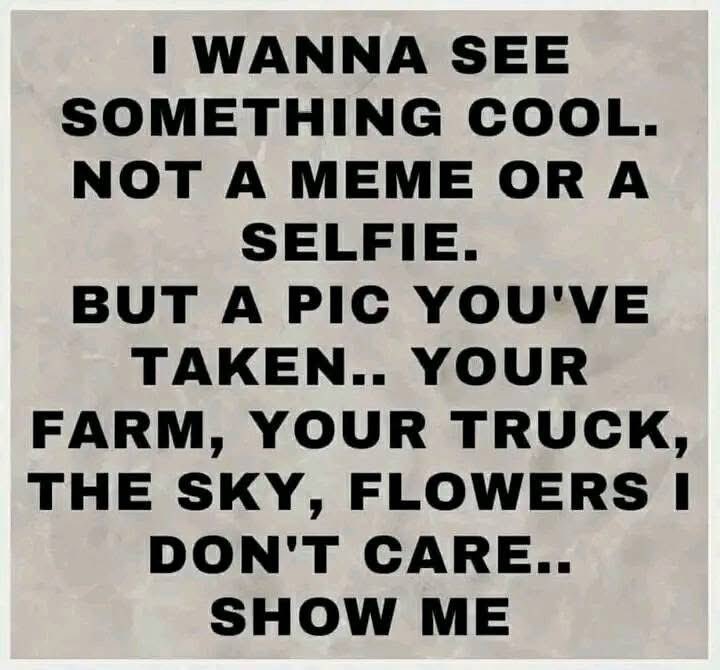 DK🇺🇸🦅🇺🇸 tweet media